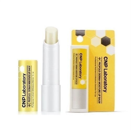 Son Dưỡng Môi CNP Laboratory Propolis Derma Moisture Lip Balm 4g